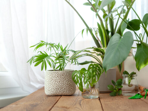 Ways To Improve Home Air Quality